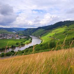 promotour-mosel-230624801