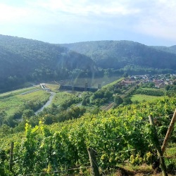 rhein-mosel-sauerland-23401