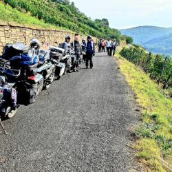 rhein-mosel-sauerland-23701